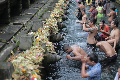 Centre de Bali : Visite du village d'Ubud, des rizières et de KintamaniCircuit de base (ne comprend pas les droits d'entrée et les repas)