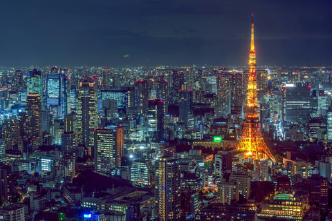 Tokyo: Private Customizable City Tour with Chauffeur Standard Car 5 pax!!!