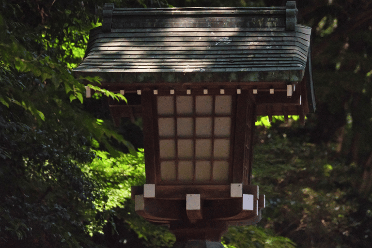 Tokio: wandeltour langs de hoogtepunten van Harajuku en Meiji JinguTijdreizen in Tokio: popcultuur in Harajuku en het Meiji Jingu-heiligdom