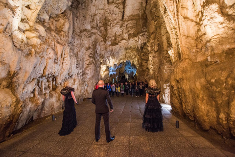 Au départ d&#039;Auckland : Visite des grottes de Waitomo avec tour en bateau