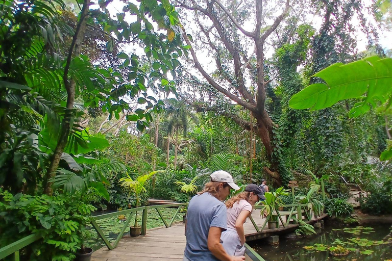 FIJI: Garden of the Sleeping Giant Tour InterContinental/Yatule/Yadua Bay/Shangri-La Pickup