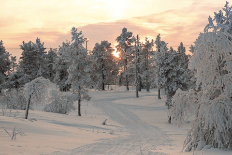 Levi: 4 uur sneeuwscootersafari naar de Fells in Levi