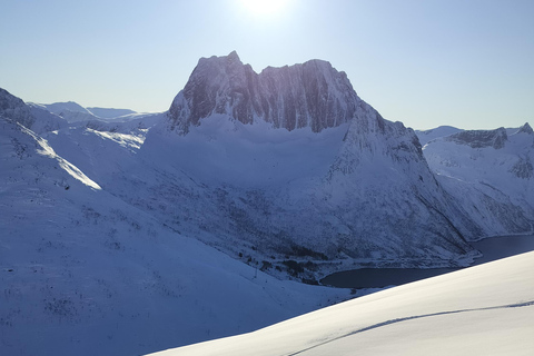 Tromsø: Ski/Randonnee Guided Tour Private tour