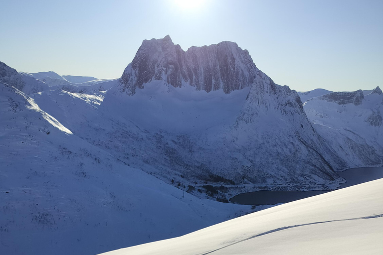 Tromsø: Ski/Randonnee Guided Tour Private tour
