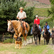 Queenstown: Walter Peak Horse Trek & Queenstown Lake Cruise Queenstown: Walter Peak Horse Trek & Queenstown Lake Cruise