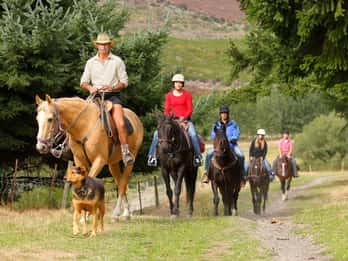 Balade à cheval + croisière