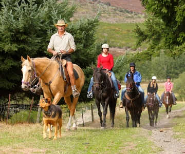 Queenstown: Walter Peak Horse Trek & TSS Earnslaw Cruise