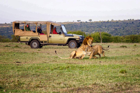 3-dniowe safari Masai Mara z balonem na gorące powietrze $ szampanMasai Mara; Safari balonem na ogrzane powietrze i śniadanie z szampanem