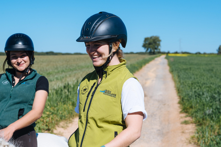 Horseback ride around Doñana National Park Horseback riding around Doñana National Park