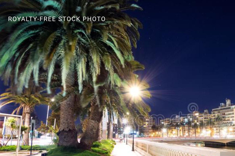 Valparaiso, Viña del Mar, Winery, Sea Lions & Boat Ride