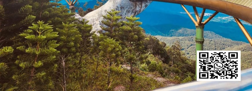 De Hue à Hoi An en voiture privée via le col de Hai Van et le pont d'or