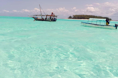 Zanzibar: Snorkeling sull&#039;isola di Mnemba e avventura con i delfini