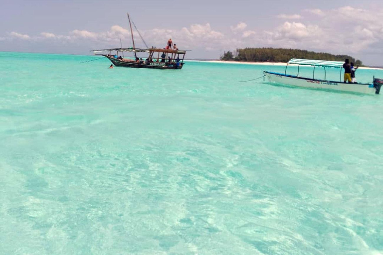 Zanzibar: Snorkeling sull&#039;isola di Mnemba e avventura con i delfini