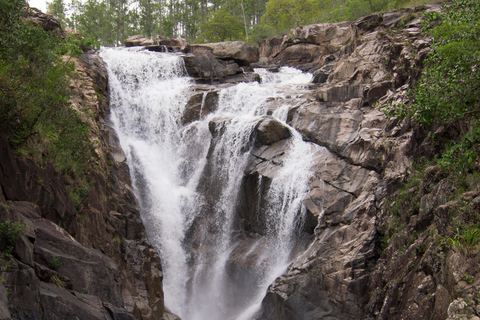 Belize: Mountain Pine Ridge Tour with Waterfalls