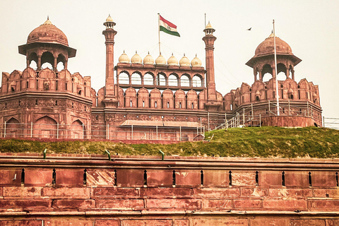 Jaipur, Jodhpur or Jaisalmer Multi-Day Trip with Safari