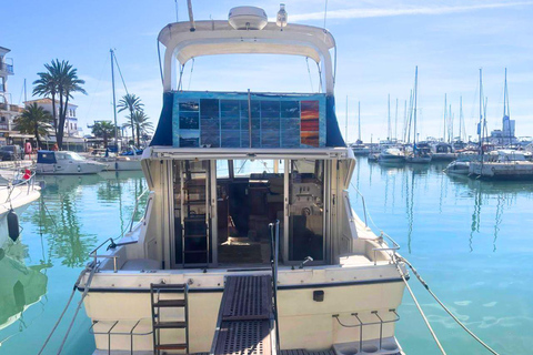 Eco-Dolphin Expedition in La Duquesa: Intimate Sailing and Cava Private Charter with Cava and Intimate Sailing