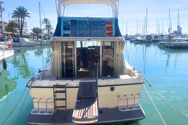 Eco-Dolphin Expedition in La Duquesa: Intimate Sailing and Cava Private Charter with Cava and Intimate Sailing