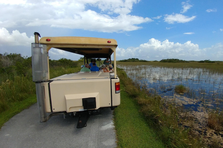 Miami: Everglades Airboat Ride and Tram Tour