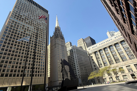 Chicago City Tour in Spanish