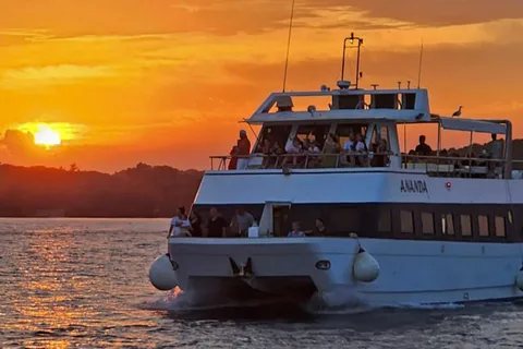 Pula: Dolphin Sunset Cruise to Brijuni with Dinner & Drinks