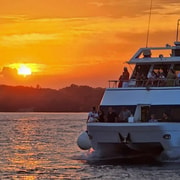 Pula: Delfin-Sonnenuntergangs-Kreuzfahrt nach Brijuni mit Abendessen & Getränken