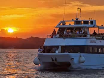 Pula: Dolphin Sunset Cruise to Brijuni with Dinner & Drinks