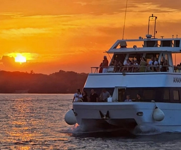 Pula (Pula) Dolphin Sunset Cruise till Brijuni med middag och dryck