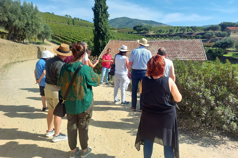 Douro Valley: Private Wine Tour with Lunch