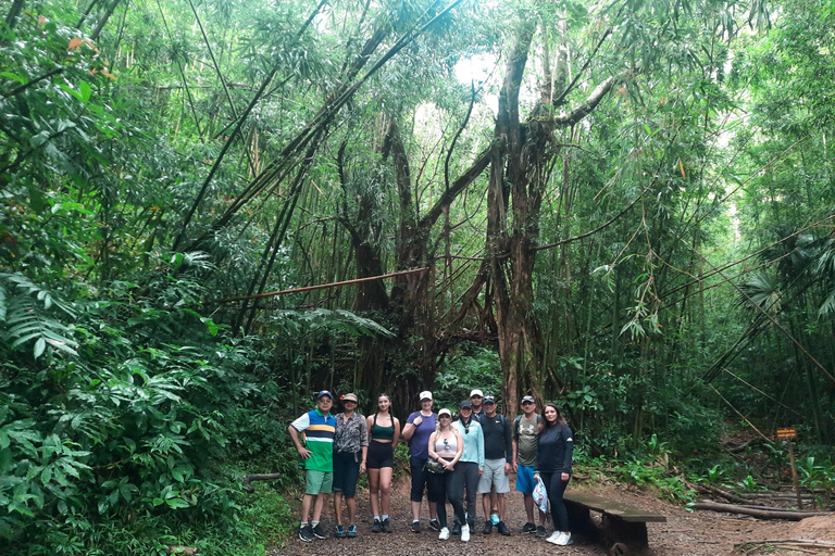 Escursione alle cascate hawaiane