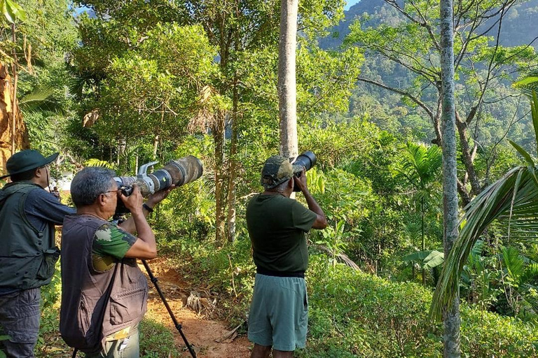 Colombo: Kithulgala Rainforest Birdwatching Tour & Lunch Colombo: Kithulgala Birdwatching Group Tour & Lunch