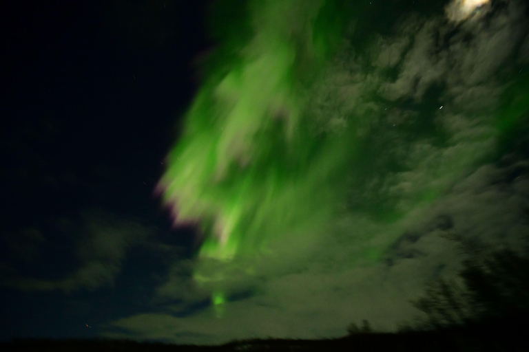 Abisko: Sami-Inspired Aurora BBQ with Aurora Chasing Abisko: Sami inspired Aurora BBQ with Aurora chasing