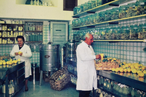 Amalfi : Visite de l&#039;usine de Limoncello avec instructeur et dégustation