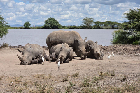 Nairobi National Park Safari 4x4 Car–Personalized Experience Shared Guided Game Open roofed 4x4 Van
