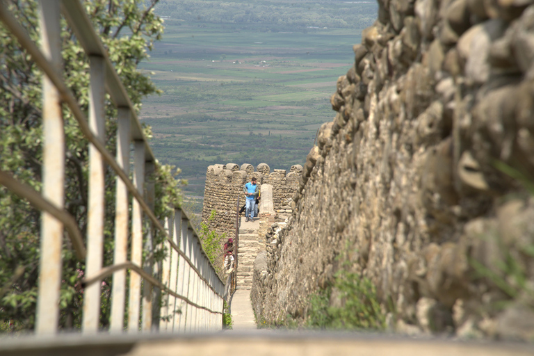 Sighnaghi &amp; Wine tourDefault