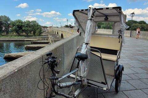 Regensburg: Private Rikscha-Städtetour