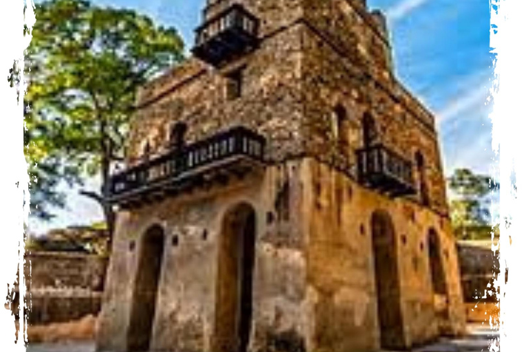 Z Gondaru: 4-dniowa wycieczka trekkingowa w góry Simien