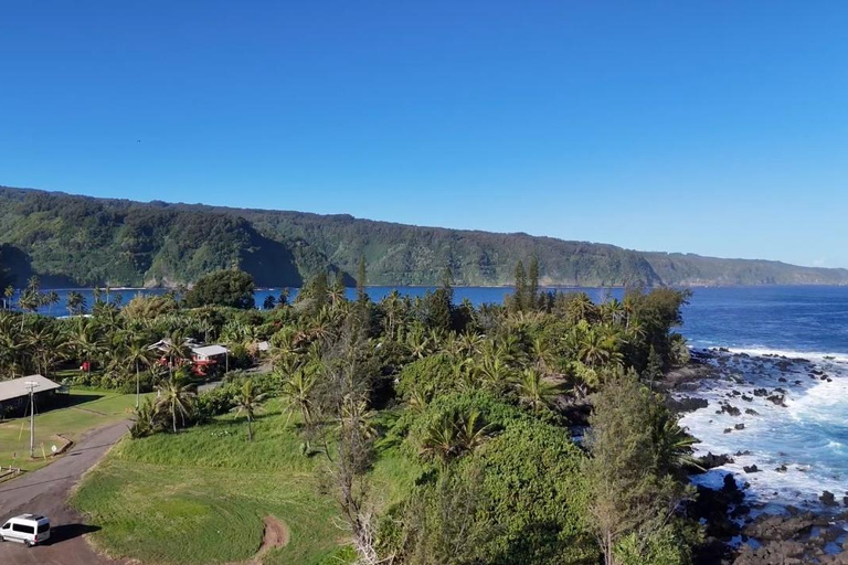 Maui's Sea Turtle & Waterfalls: Taste of Hana Guided Tour