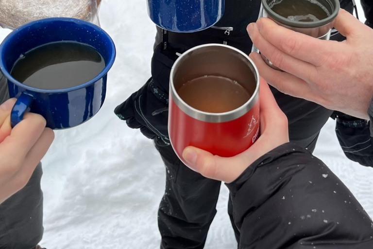 从克拉科夫出发：佐霍乌山谷扎科帕内雪橇之旅乔霍乌山谷雪橇之旅（含团体接送服务）