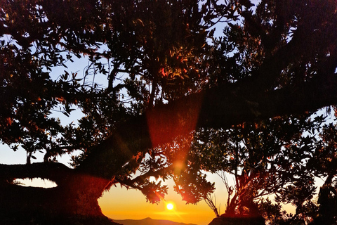 Fanal - Hike in Fanal in a different way