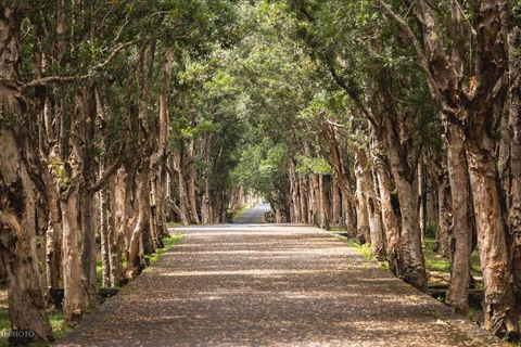 Mauritius southern tour