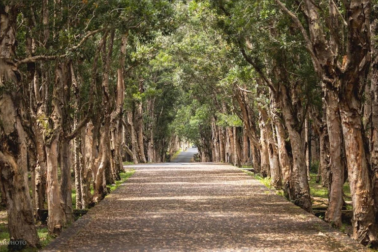 Mauritius southern tour