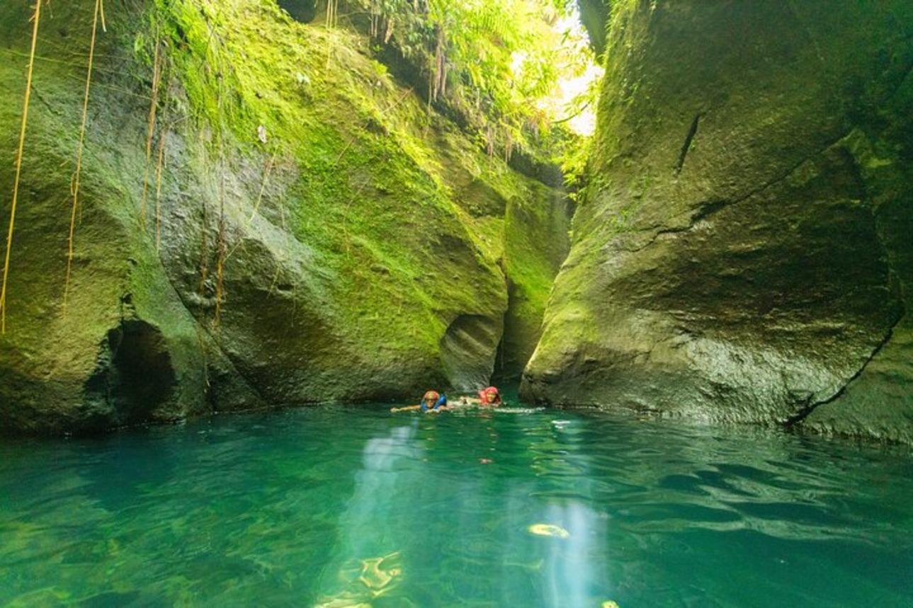 Dominica: Titou-Schlucht und heiße Quellen mit Transfer