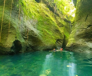 Dominica: Titou Gorge and Hot Springs Tour with Transfer