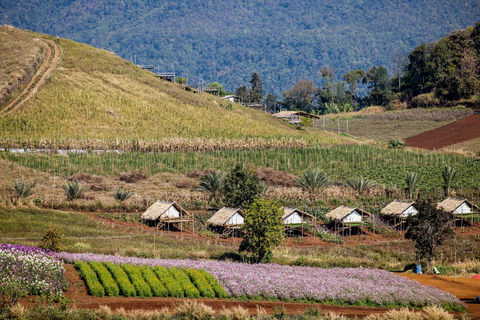 Scooter Adventure incl Elephants, Cave Chiangmai Backcountry scooter adventure incl. elephants