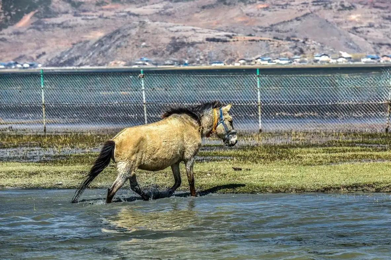 Circuit panoramique privé de Lijiang à Shangri-La HuXiang Road