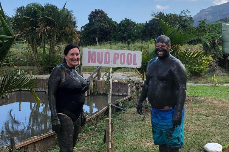 Nadi: Hot Springs and Mud Pools Natural Spa Nadi Hotspring and Mudpool Entry Fee