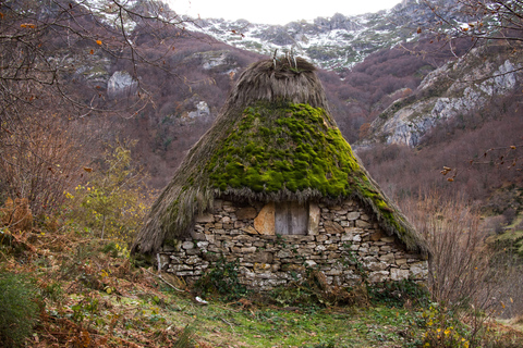 From Oviedo and Gijón: Day Trip to the Somiedo Lakes and the Senda del Oso From Gijón in Spanish: Trip to the Somiedo Lakes and Senda del Oso