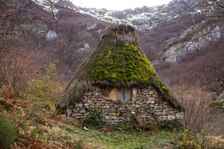 From Oviedo and Gijón: Day Trip to the Somiedo Lakes and the Senda del Oso From Gijón in Spanish: Trip to the Somiedo Lakes and Senda del Oso