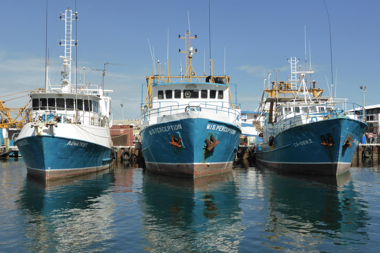 Tour di mezza giornata di Perth e Fremantle