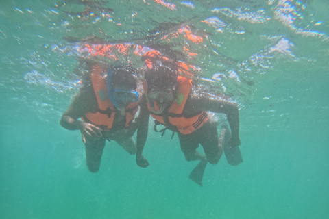 Mirissa: snorkeling con le tartarughe e avventura ecologica con guida localeMirissa: snorkeling con le tartarughe e avventura ecologica con una guida locale